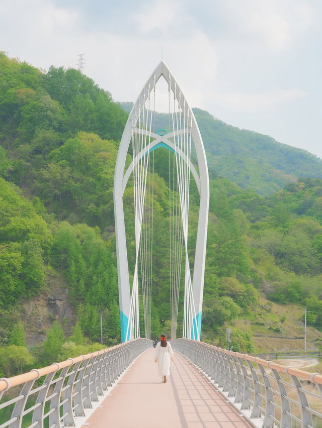 사랑 가득한 여행 하기 좋은 힐링 도시 화천🌿