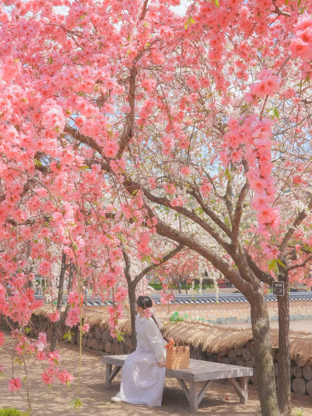 하늘 아래 천국이 있다면 바로 여기일거야🌸❤️