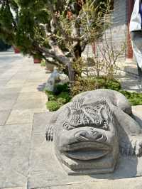Where Scholars Once Dreamed – Mingli Courtyard, Kaifeng Prefecture