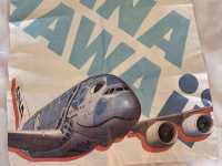 日本東京成田機場，ANA全日空頭等艙