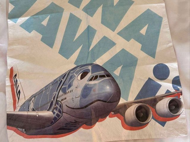 日本東京成田機場，ANA全日空頭等艙