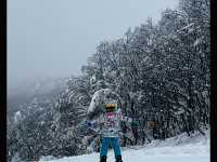 💕💕藏王滑雪如此震撼💕💕
