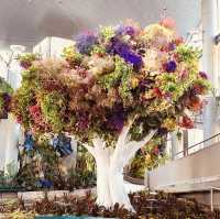 🌸✨ *BOTANICA MUSEUM: A Floral Fantasy in Chiba* 🌿📸