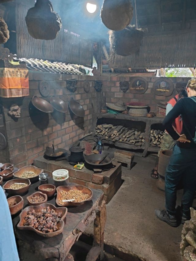 ☕ From Civet to Cup: The Luwak Coffee Journey Unfolds
