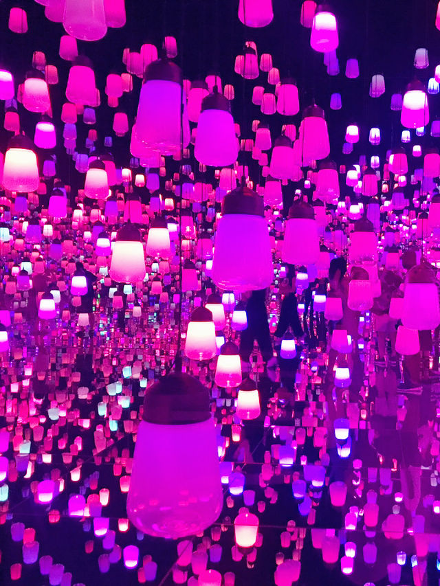 🌊✨【まるで夢の中】チームラボプラネッツ東京 DMM