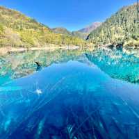 Jiuzhaigou Valley (Sichuan)