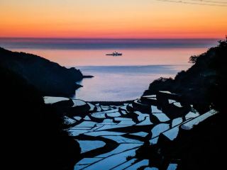 [Hamanoura Rice Terraces] A fantastical rice terrace landscape dyed in the sunset🌾🌇