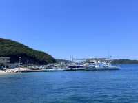 Mizushima island 