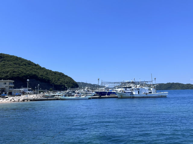 Mizushima island 