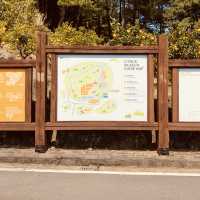 A Picturesque Garden & Orchard for Relaxed Strolls with Affordable Entry