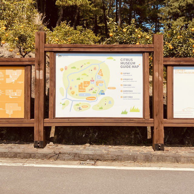 A Picturesque Garden & Orchard for Relaxed Strolls with Affordable Entry
