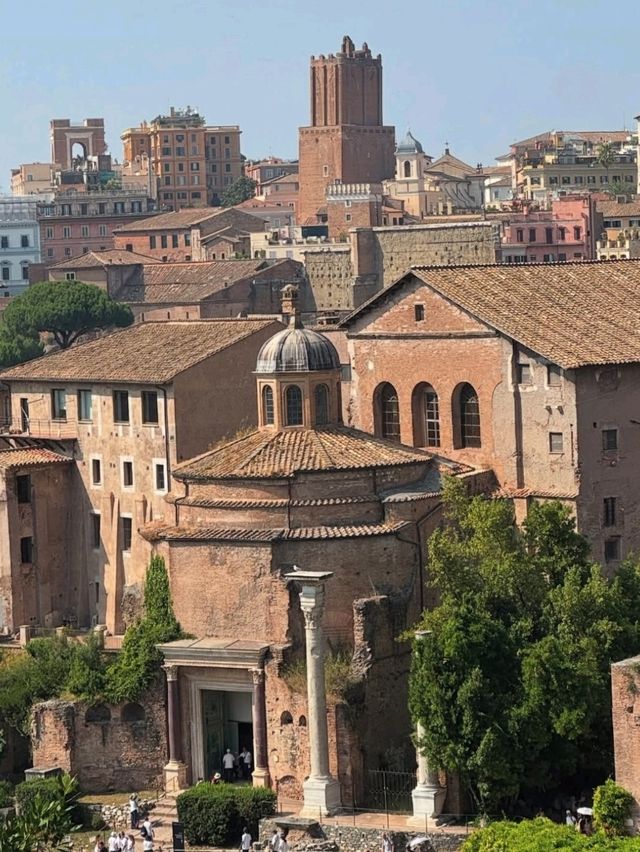 🇮🇹 로마 포럼과 팔라티노 언덕