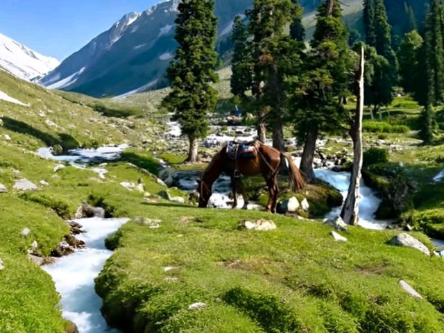 🌿 Hidden Gems of Kashmir – Beyond the Usual! ❄️🏔️