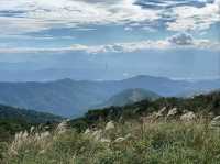 Wandering Through the Grassy Beauty of North Wuzhishan
