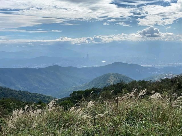 Wandering Through the Grassy Beauty of North Wuzhishan