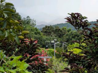 探索Mae Sariang的隱秘魅力