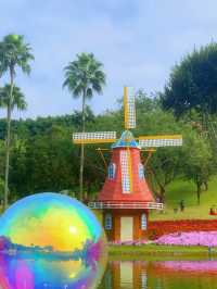 🌼 The best flower seas in Guangzhou