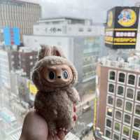 札幌-小樽-登別 8天遊✈️