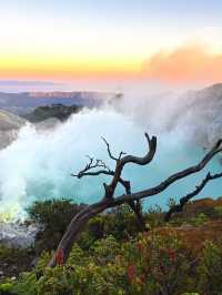 A trip around East Java 