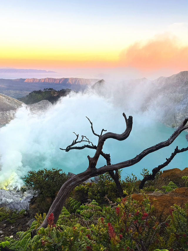 A trip around East Java 