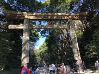 在城市森林中尋求心靈平靜：東京明治神宮遊記