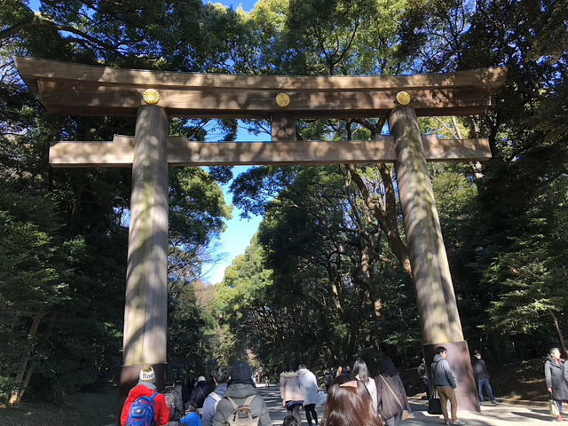 在城市森林中尋求心靈平靜：東京明治神宮遊記
