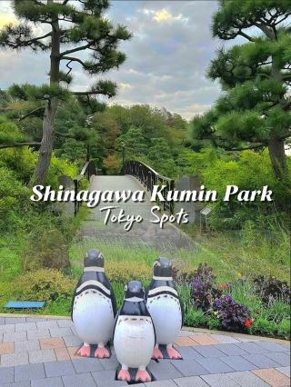 品川國民公園的經濟型度假勝地