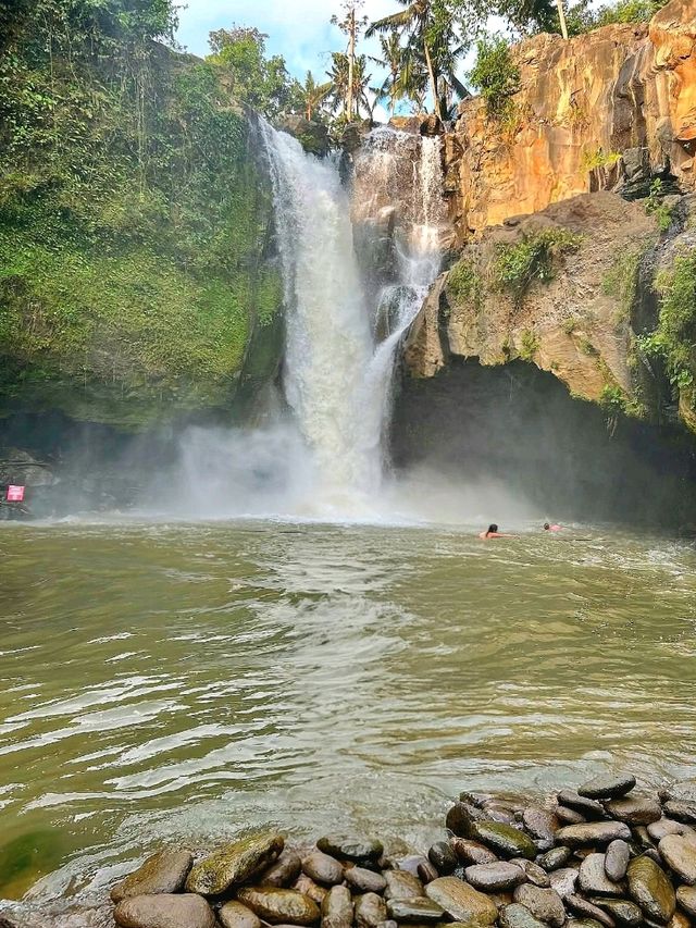 Chasing the Beauty of Tegenungan Waterfall Chasing the Beauty of Tegenungan Waterfall