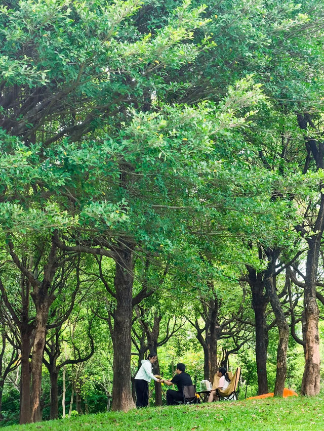 ☀️ A Breezy Green Escape in the City