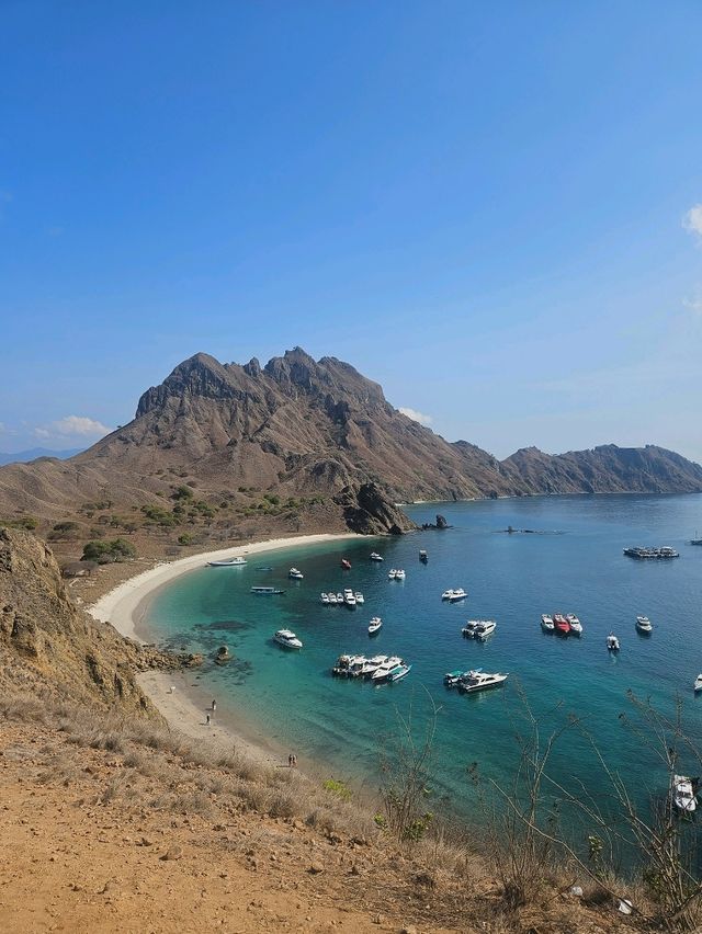 Padar Island: 815 Steps to Paradise Views in Flores