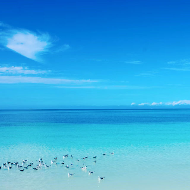 【キューバ🇨🇺のリゾート地】バラデロ🏝️