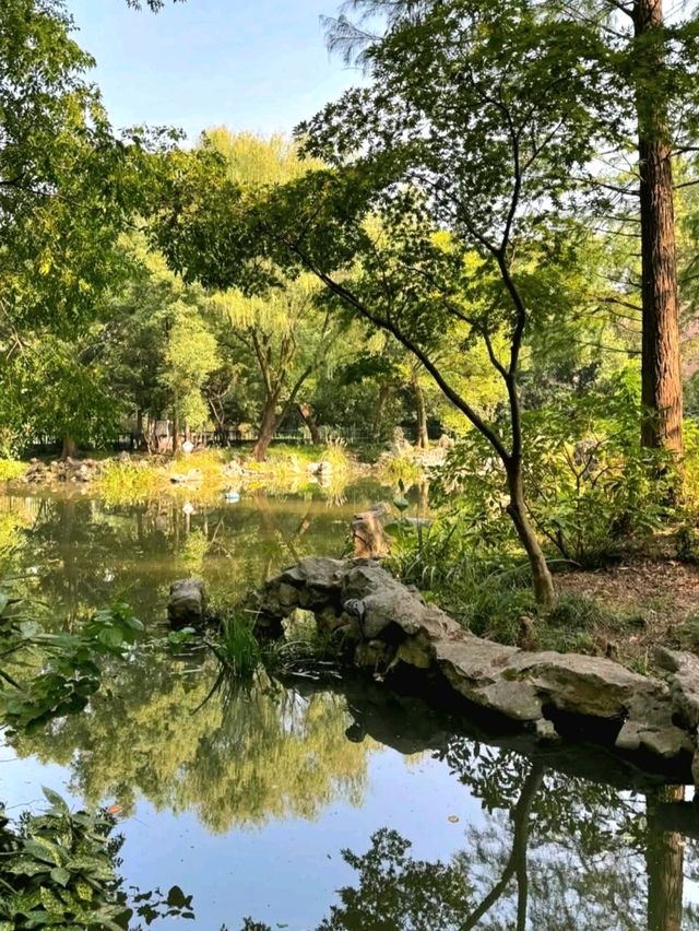 Relaxing Stroll at Zhongshan Park Shanghai