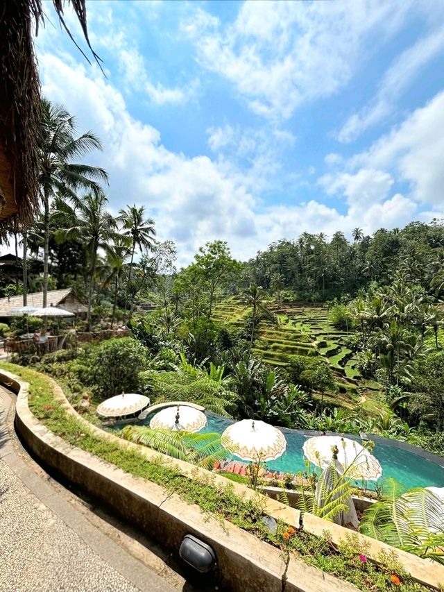 Discover the Charm of Ubud, Bali Discover the Charm of Ubud, Bali