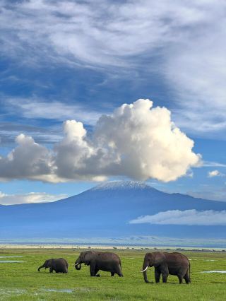Mount Kilimanjaro: The White Miracle on the Roof of Africa