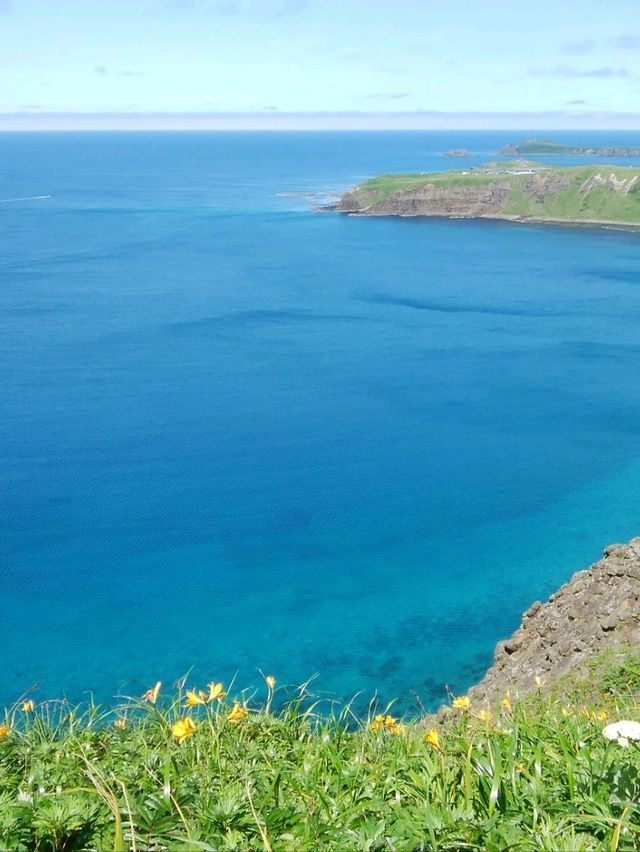 夏の礼文島で花と海と緑の絶景トレッキング 夏の礼文島で花と海と緑の絶景トレッキング