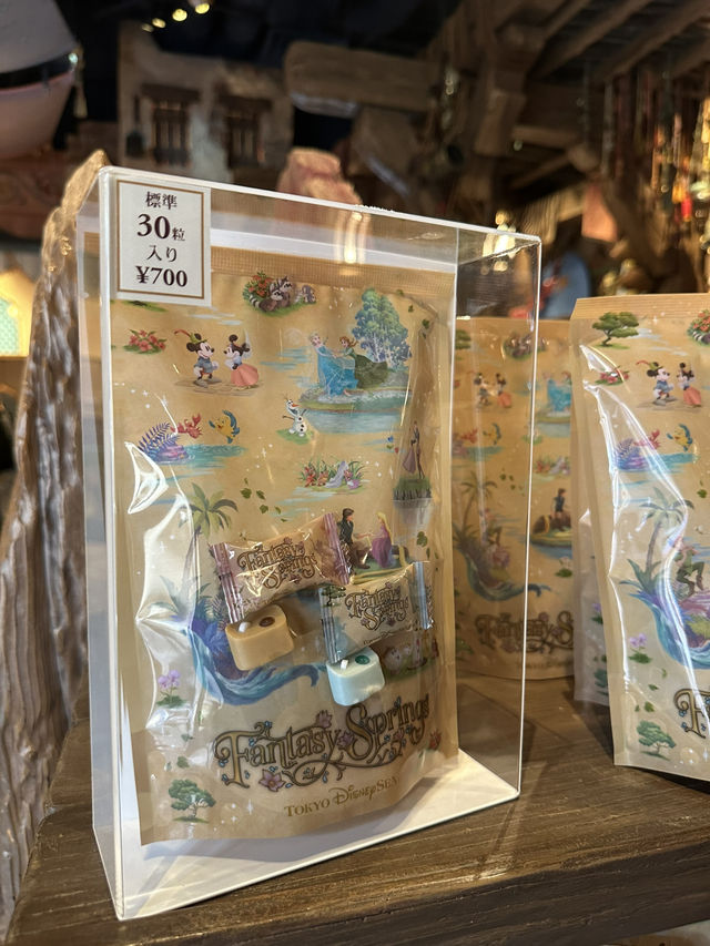 Tokyo Disneysea (July 2024)