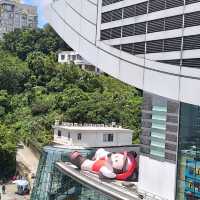 一日玩盡山頂廣場必踏路線
