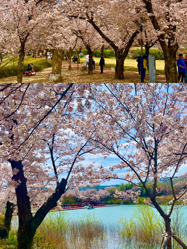 ✨역사와 풍경, 여유를 느낄 수 있는 경주 여행❤️ ✨역사와 풍경, 여유를 느낄 수 있는 경주 여행❤️