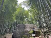 奈良　飛鳥の歴史をめぐる