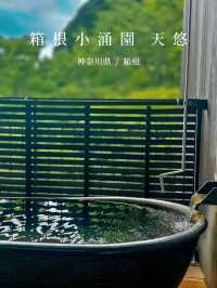 【箱根】全部屋に露天風呂付♨️おこもりステイにもおすすめな絶景温泉！箱根小涌園天悠
