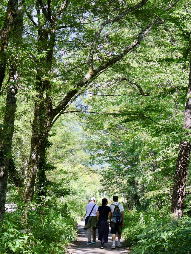 日本阿爾卑斯山超夢幻 日本阿爾卑斯山超夢幻