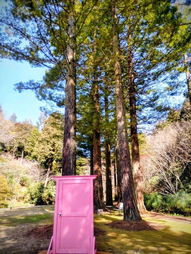 梅とグルメの一泊二日 梅とグルメの一泊二日