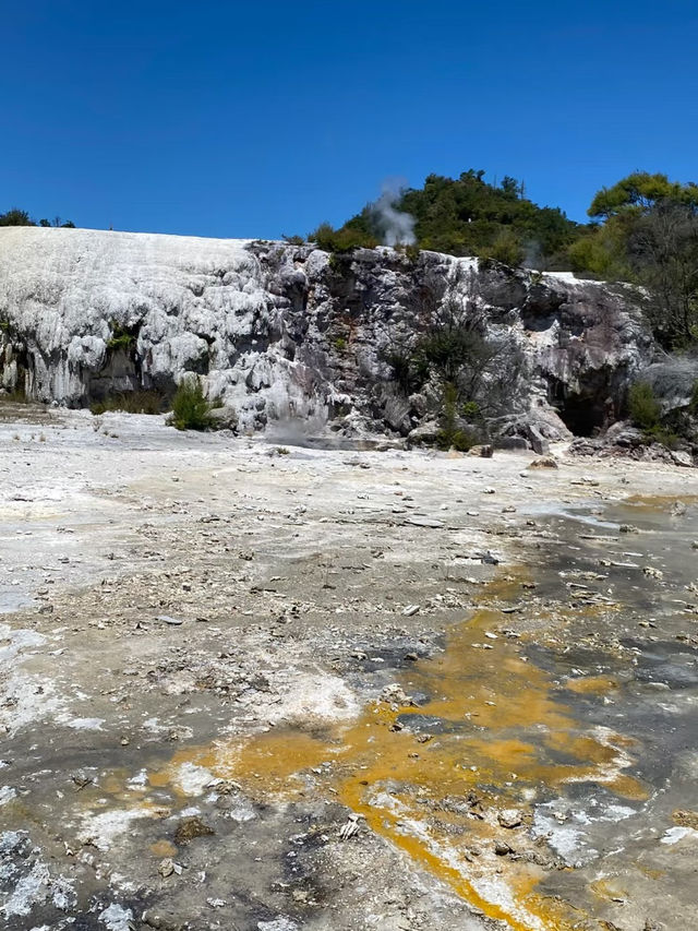 Waiotapu Thermal Wonderland: A Surreal Geothermal 