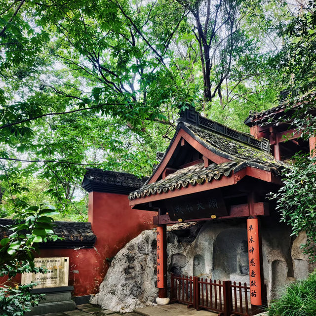 寺院樹影中的靜謐時光  