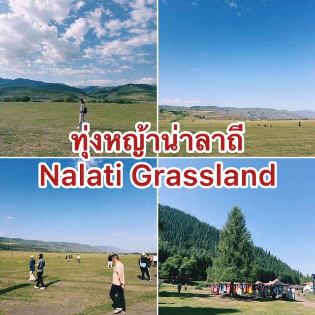 ทุ่งหญ้านาราถี (Nalati Grassland) 