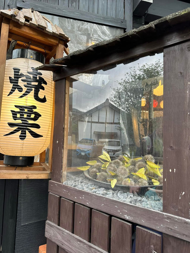 由布院的清雅 & 金鱗湖的浪漫