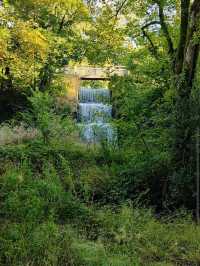 National Botanic Garden of Wales