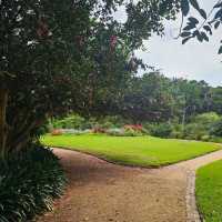 Vaucluse House – A Colonial Estate of Elegance and History in Sydney