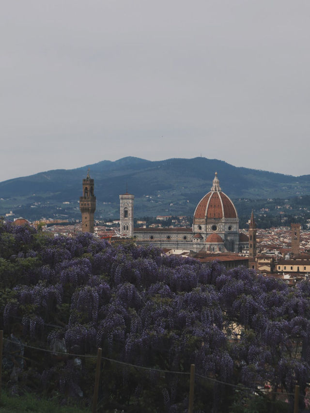 5월에 피렌체를 간다면 필수 코스임 5월에 피렌체를 간다면 필수 코스임