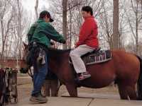北海道馬主題公園親子半日遊推介 🐴